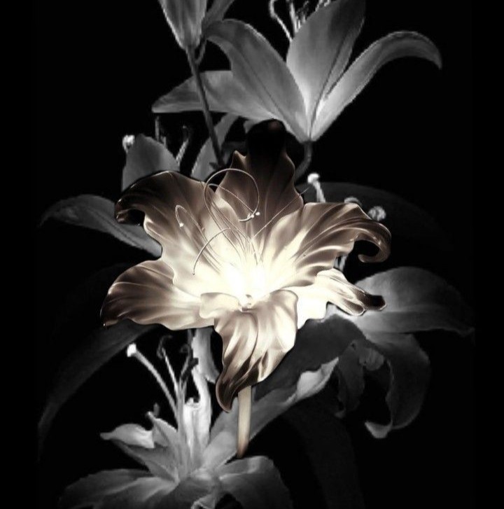 ENCOMENDAS PERSONALIZADAS AQUI ! thumbnail