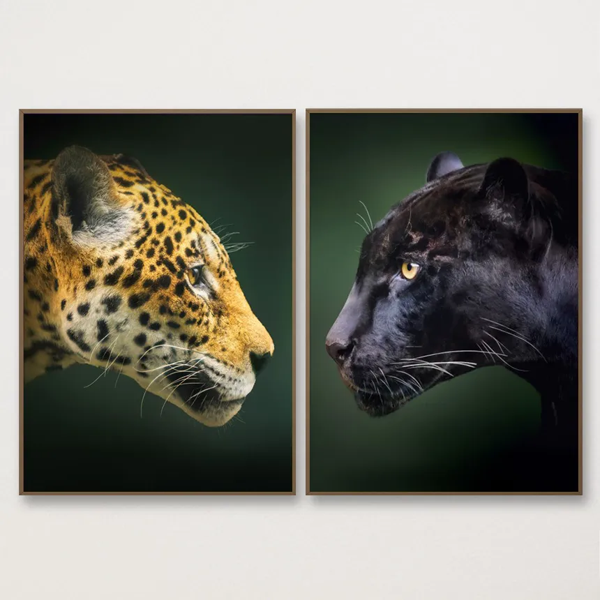 Dupla Felinos do Brasil - Onça e Onça Preta thumbnail