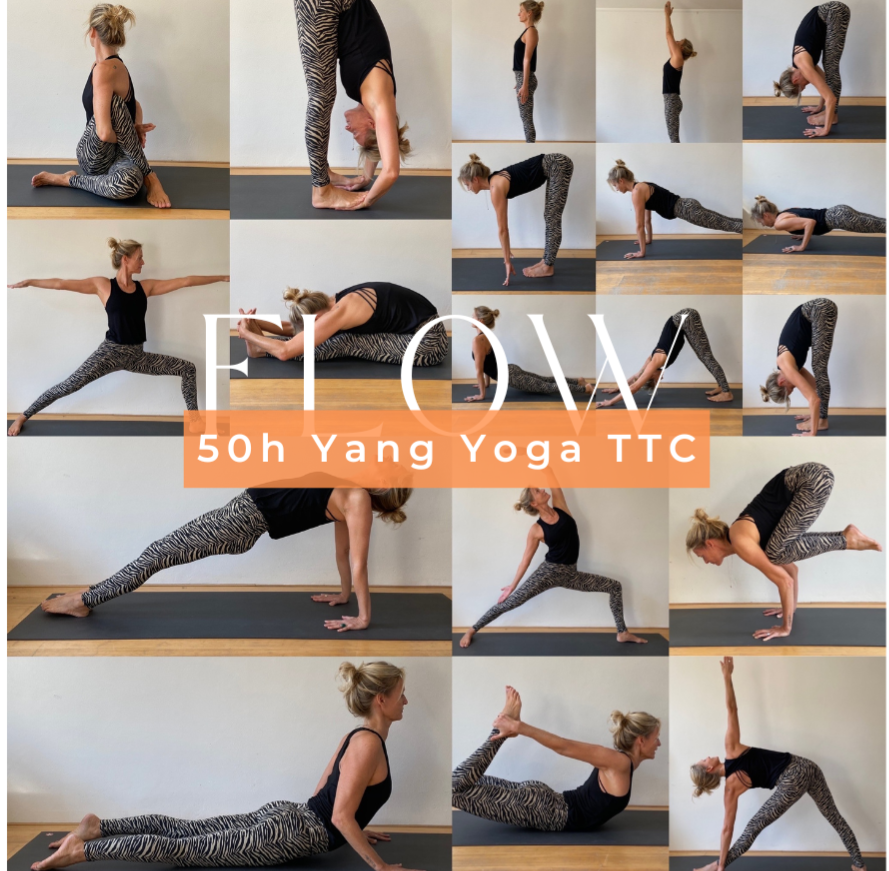 FLOW ~ 50h Yang Yoga course ~ The Netherlands  thumbnail