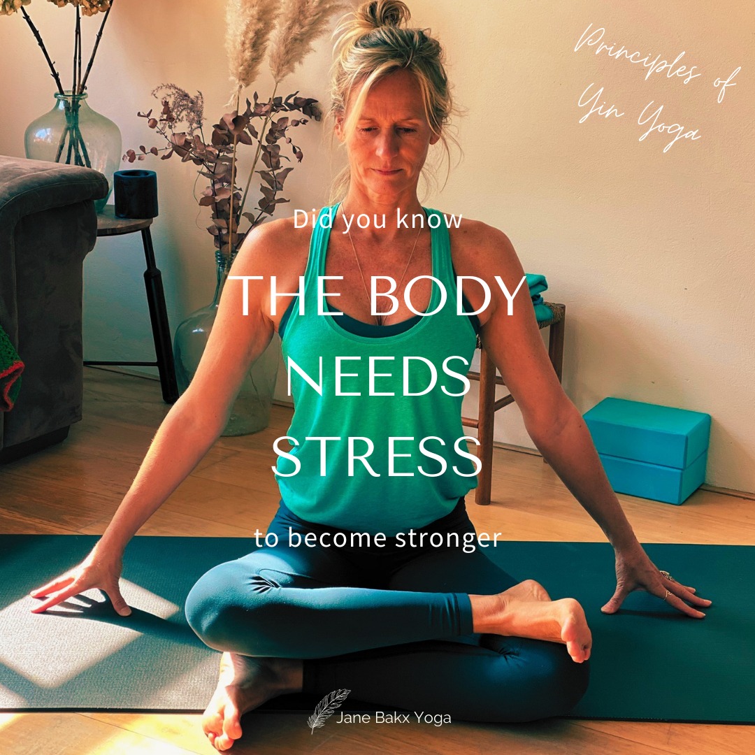 The body needs stress to become stronger!
Want to discover all about the deep nourishing power of Yin Yoga?
I am hostin