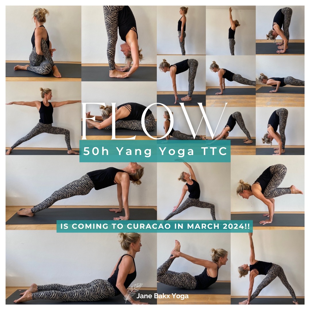 FLOW ~ 50h Yang Yoga TTC
Yoga Alliance certified
Each body has its own alignment. It depends on the shape of the bones.