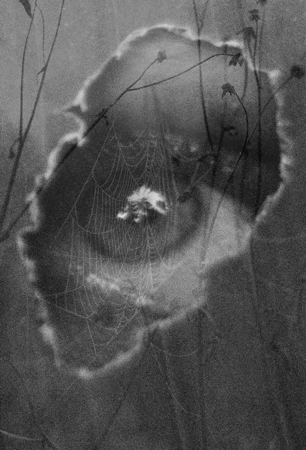 Olhos nos Olhos thumbnail