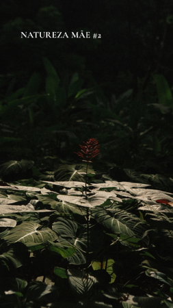 Natureza Mãe #2 thumbnail