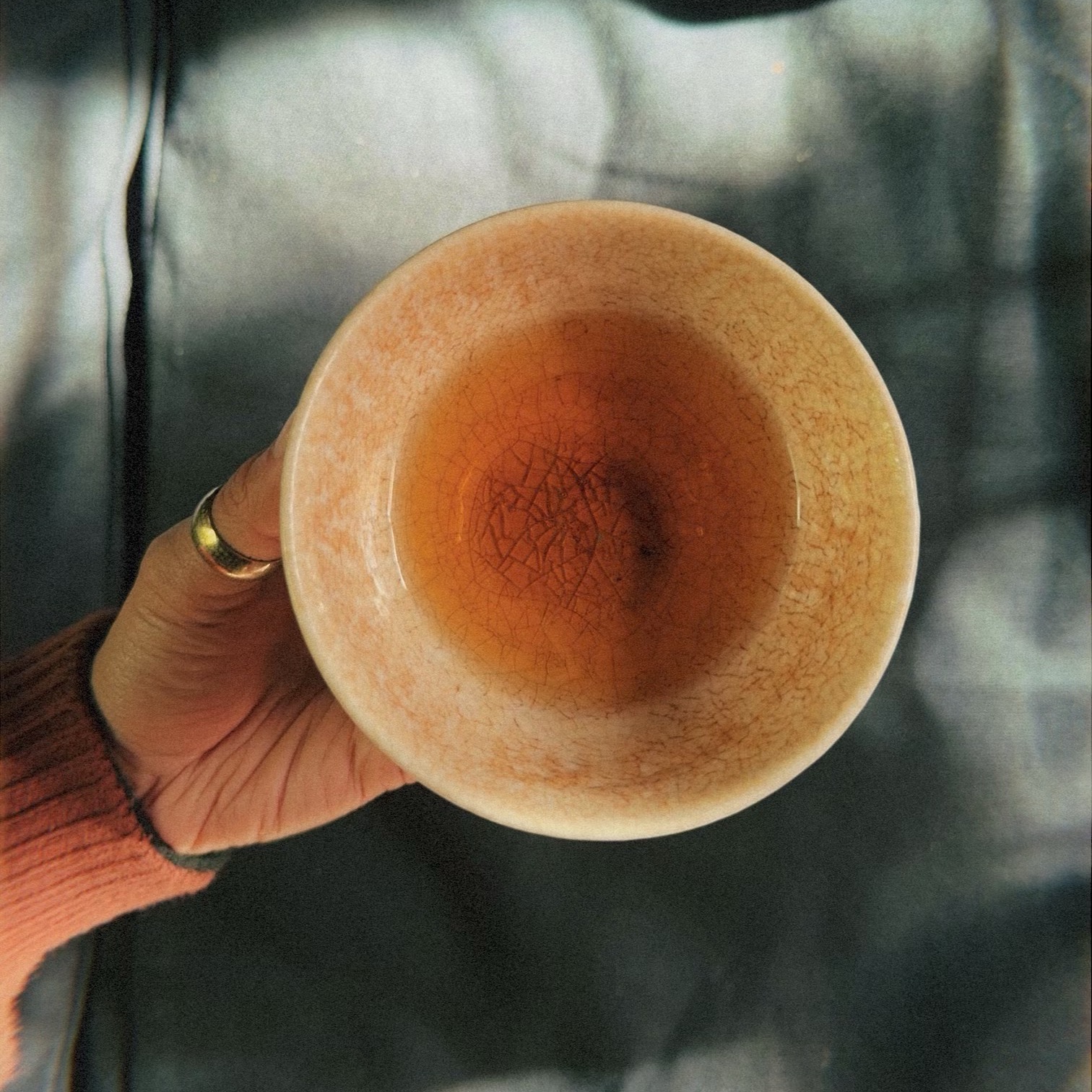 DRISHTI HOUSE | Free ebook "How to Enjoy Tea Like a Tea Master" thumbnail