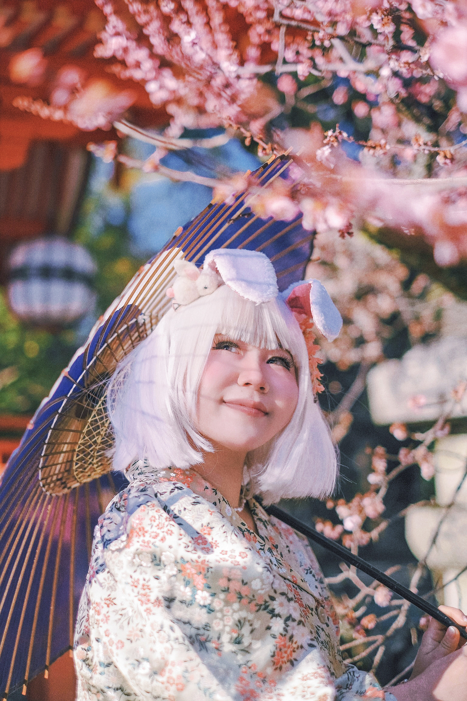 Cyber Bunny Bio Site cyber-bunny-bio-site