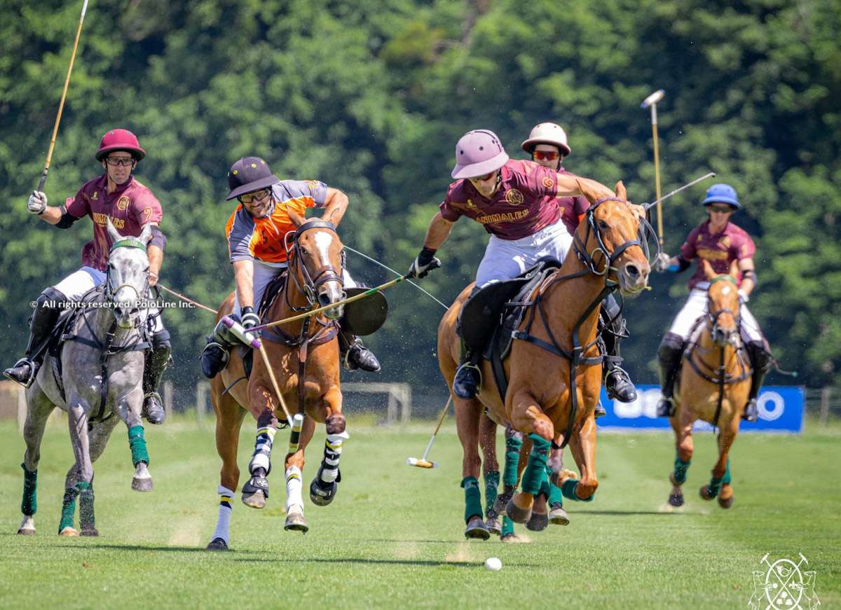 Trophée Bourbon: Animales se llevó el título (Polo Line) thumbnail