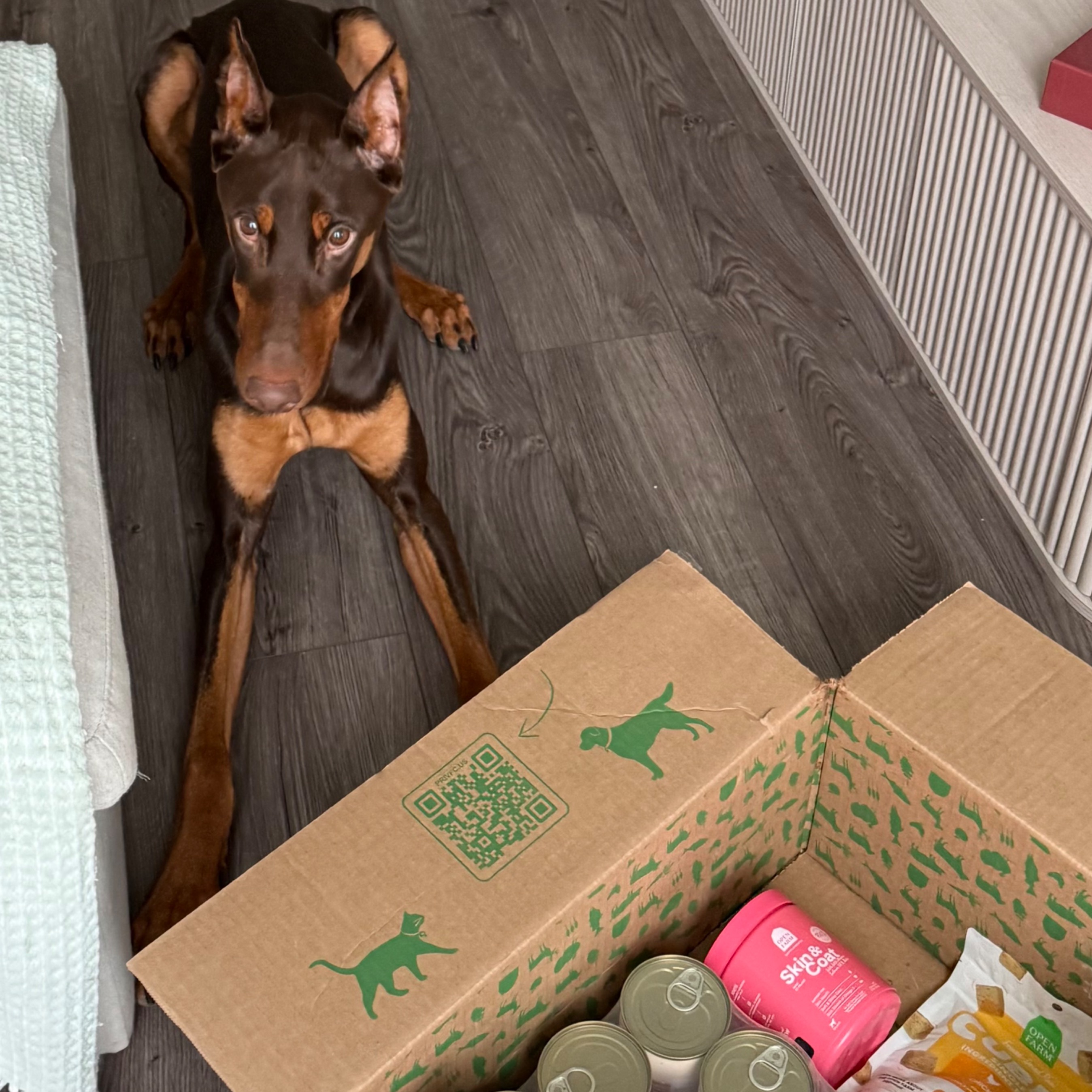 Open Farm discount code: KIMYA thumbnail