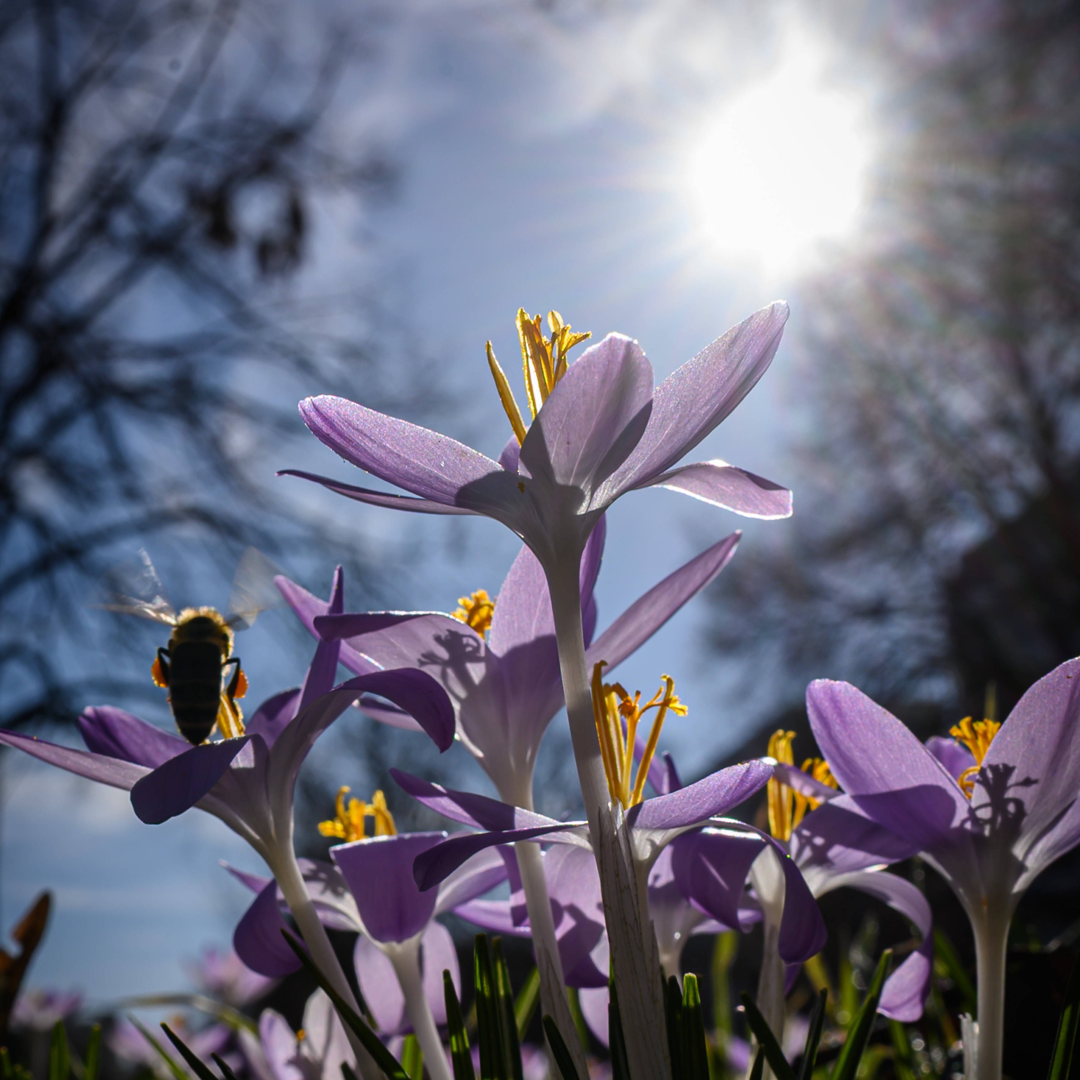 Gute Nachrichten - Newsletter mit positiven Geschichten thumbnail