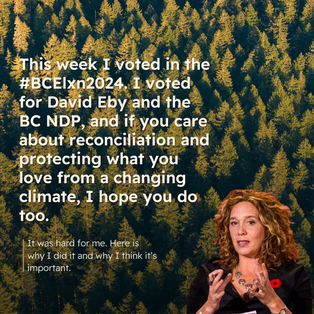 Please vote like our earth depends on it, because it does. 

@stand.earth has an excellent tool for finding out where yo