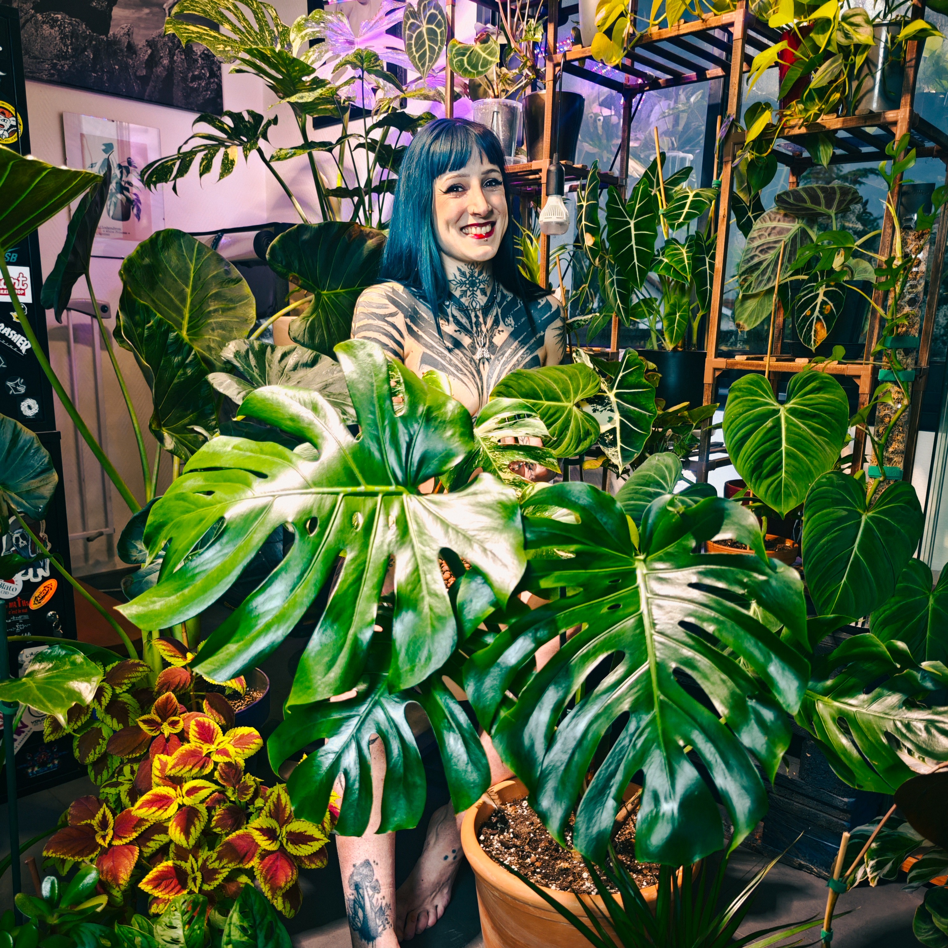 Mon Instagram Plantes 🌿 thumbnail