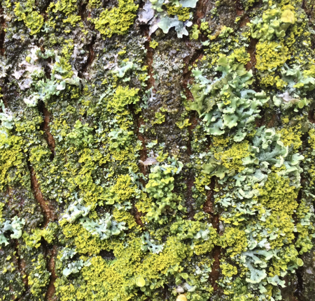 WORK TOGETHER thumbnail