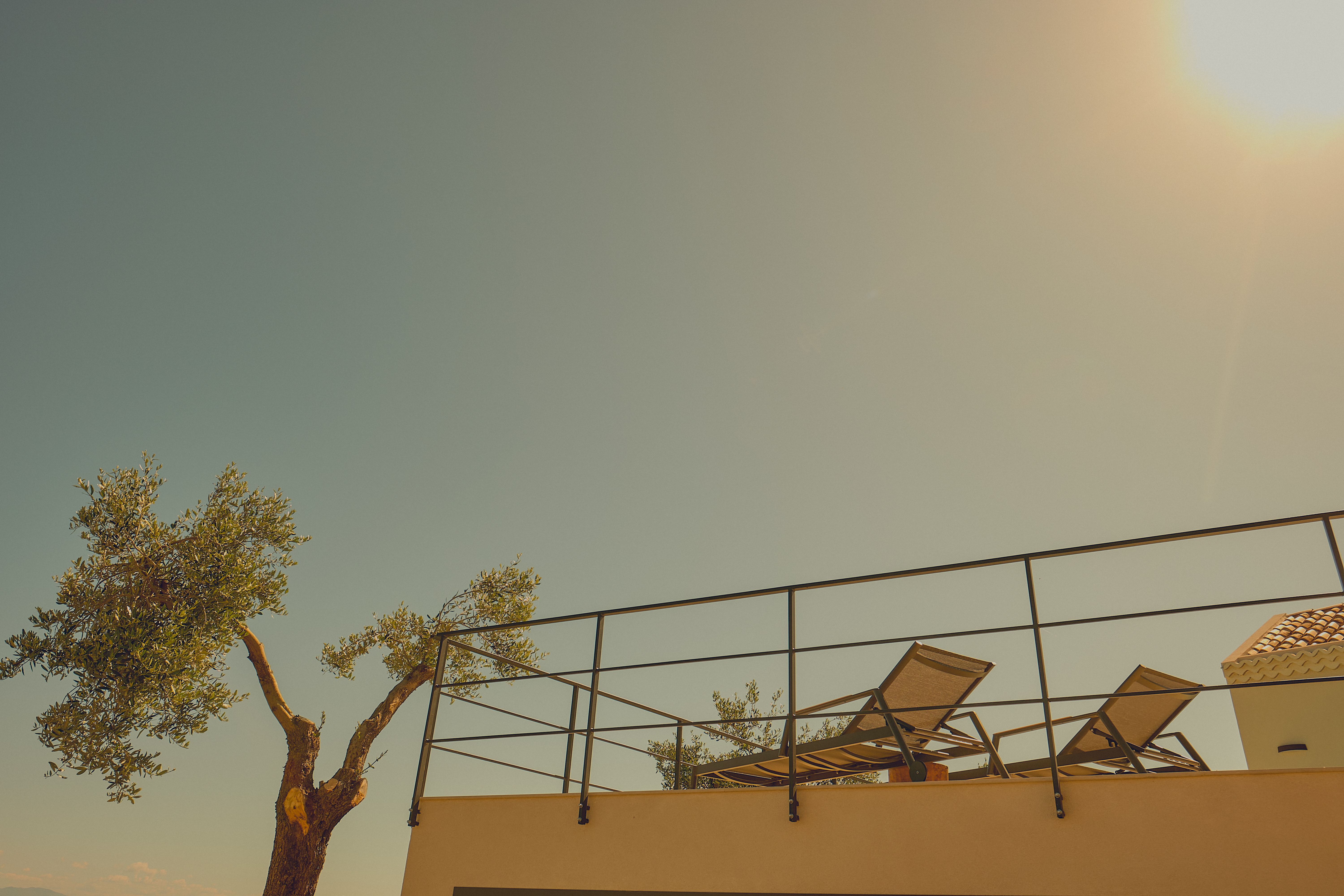 AESTHETICS thumbnail