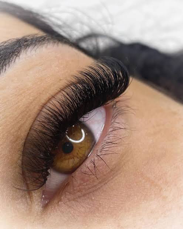 Catálogo  thumbnail