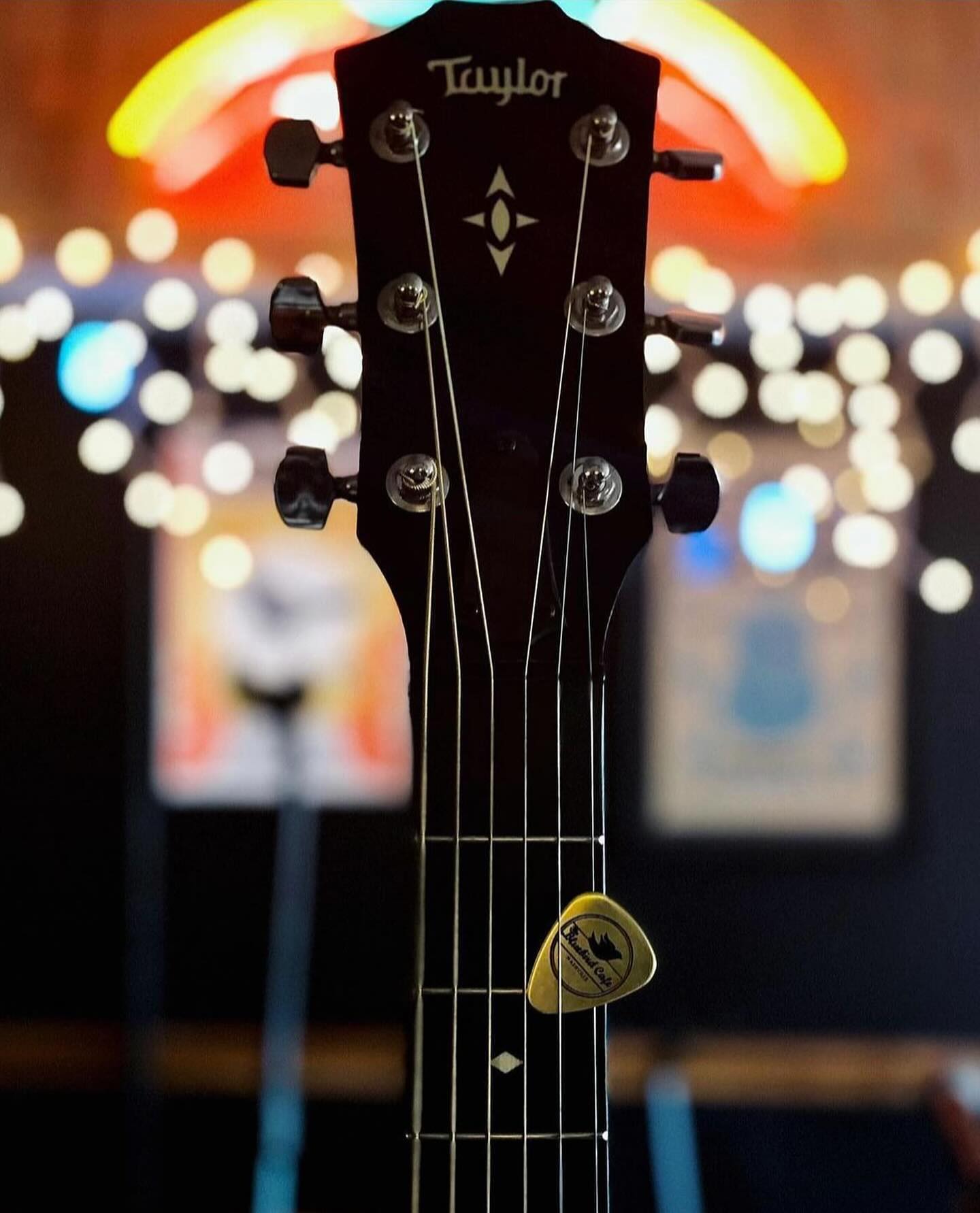 9 songwriters have been crowned winners of our monthly Bluebird x @taylorguitars Golden Pick contest, but we are still l