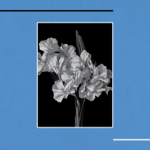The Smiths Cover thumbnail