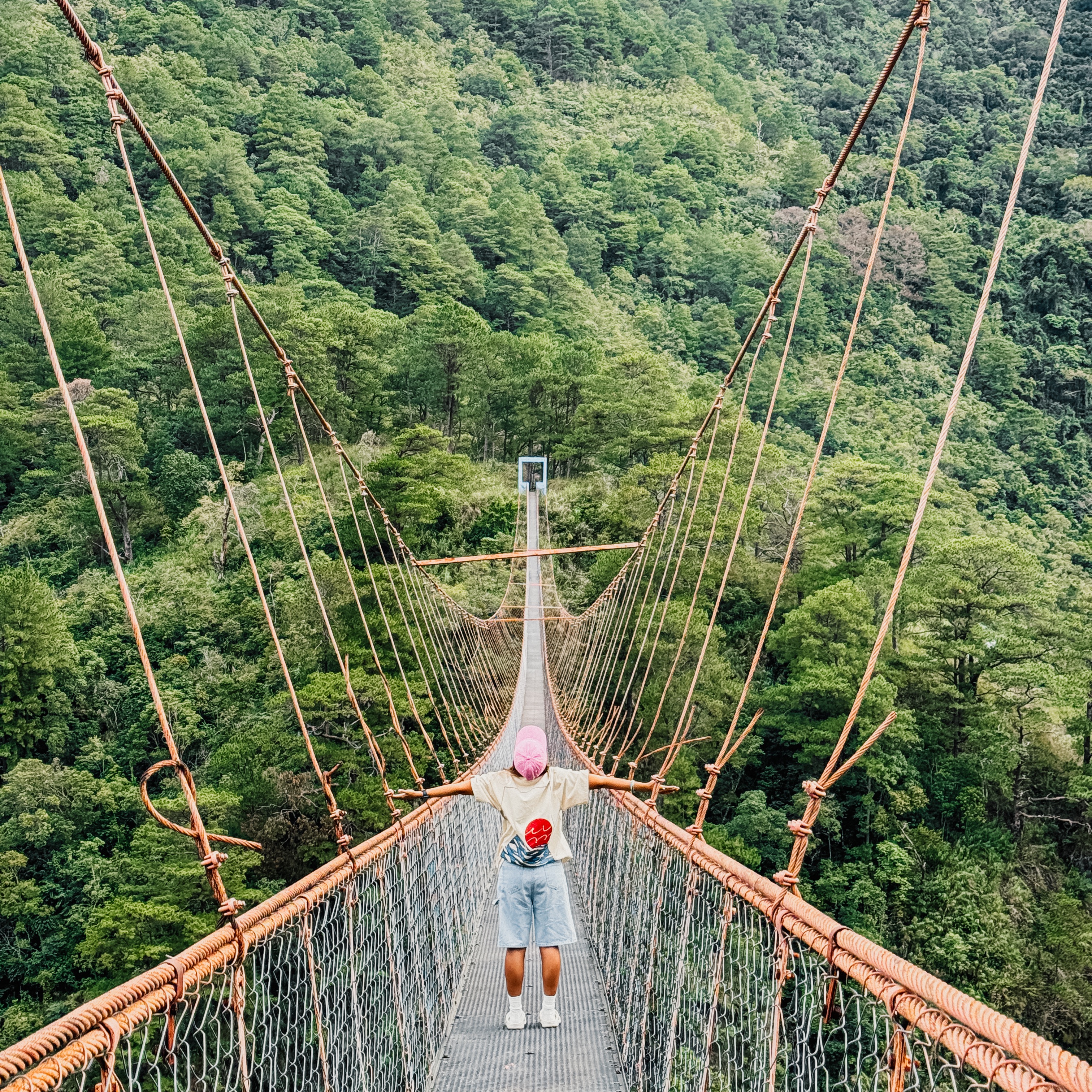 Tallest Footbridge in Ph thumbnail