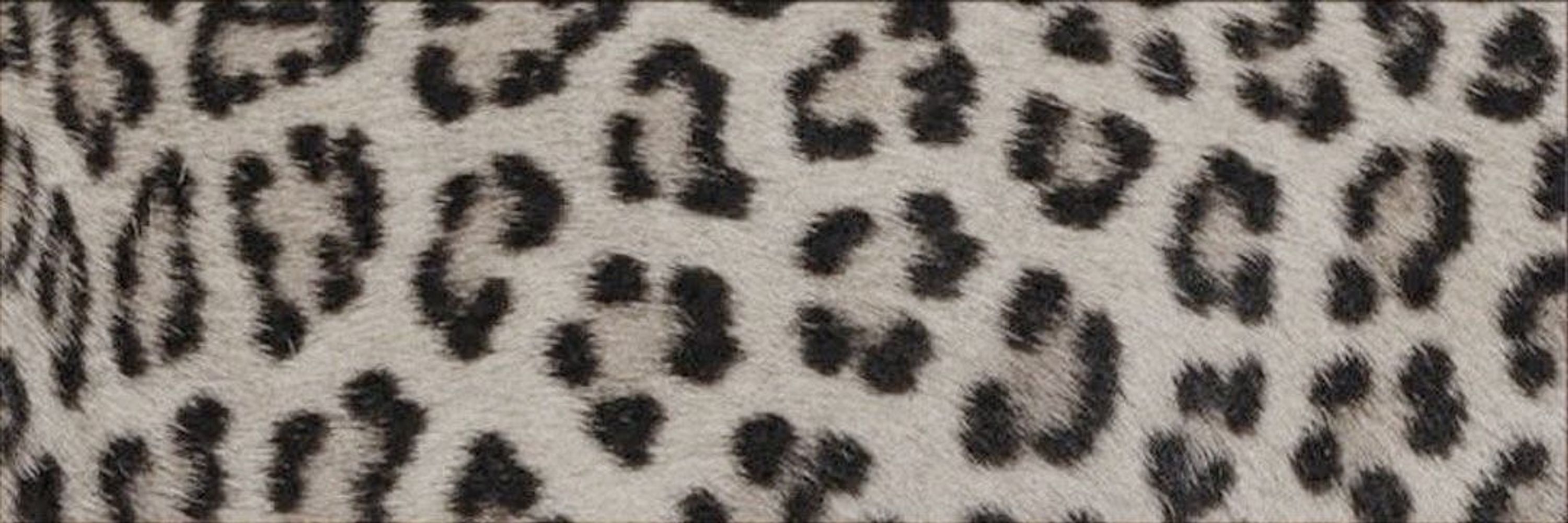 bsky.social thumbnail