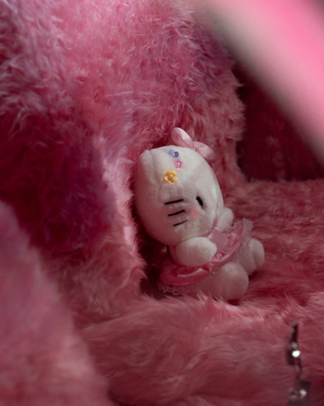 “La Jaula de Oro,” Spotify playlist  thumbnail