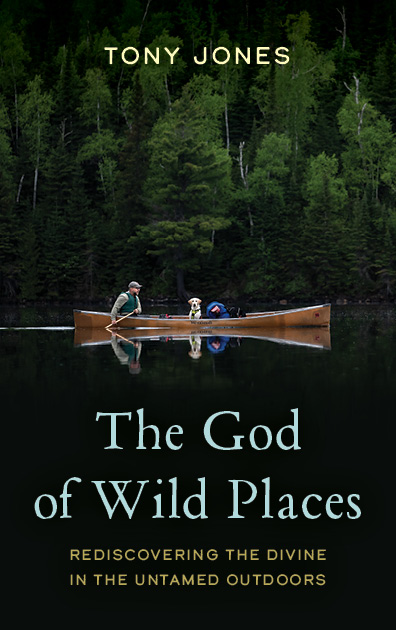 The God of Wild Places (Book) thumbnail