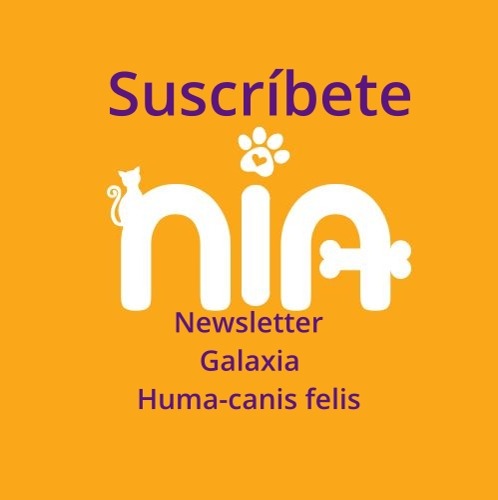 Galaxia Huma-canis felis. Desde donde te escribo y charlamos. Donde  recibes la newsletter o las notas  thumbnail