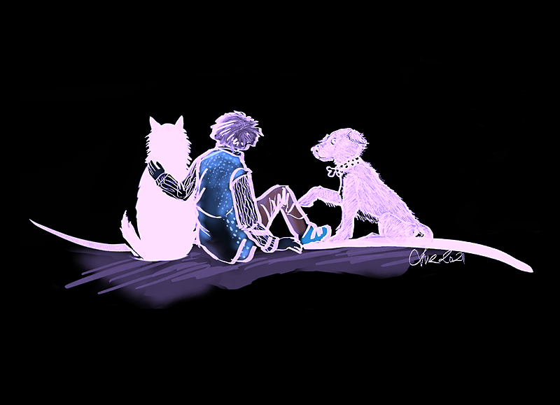 Curso para un perro sano y feliz, no más problemas thumbnail