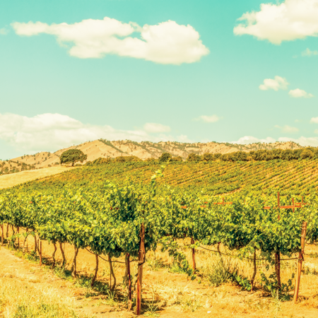 Limited Edition Print Series thumbnail