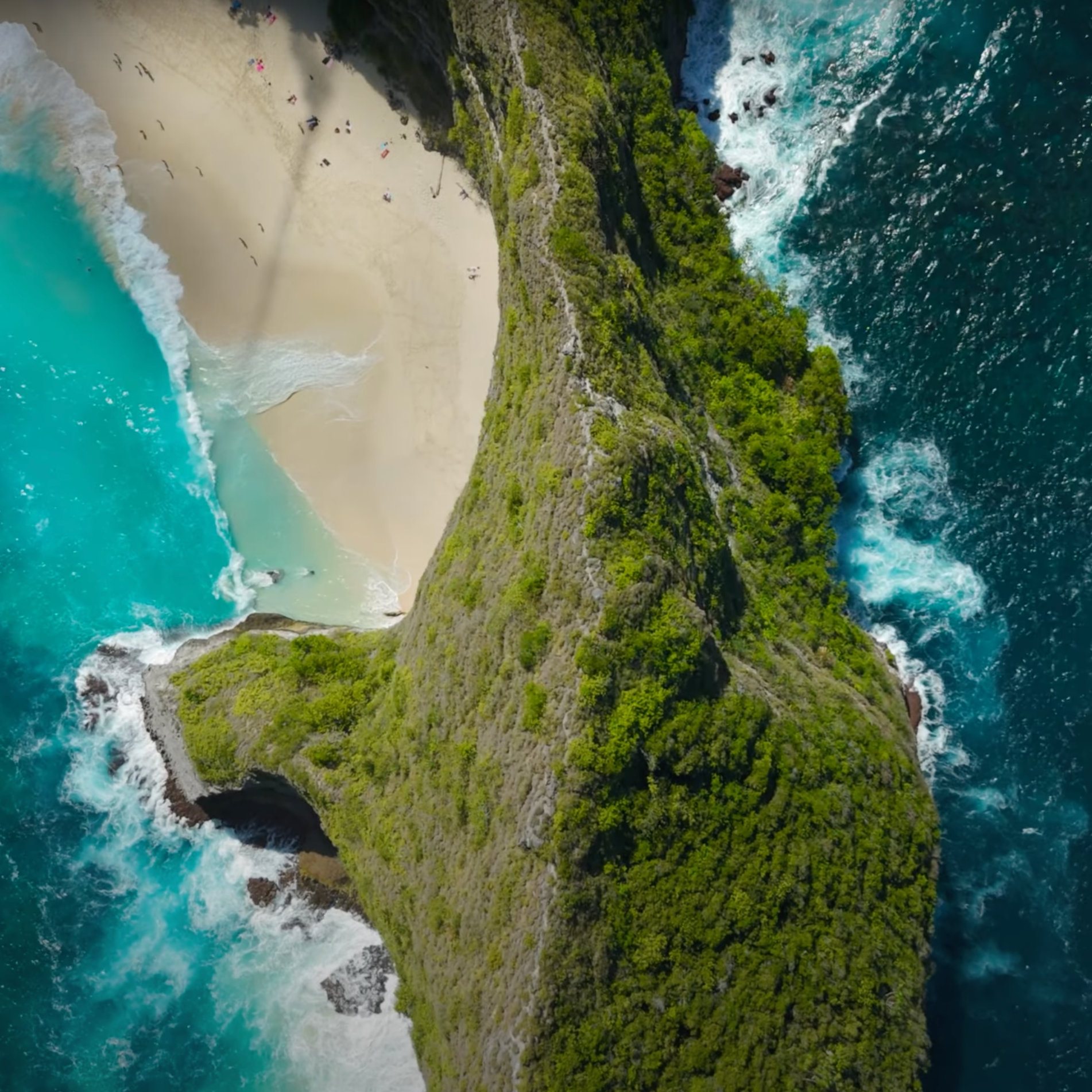 Free Courses! thumbnail