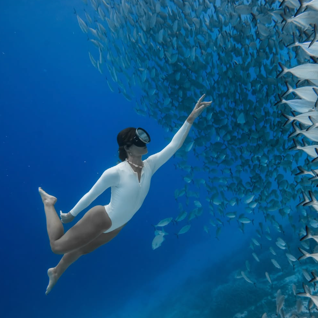 Raja Ampat Expedition - Waitlist thumbnail