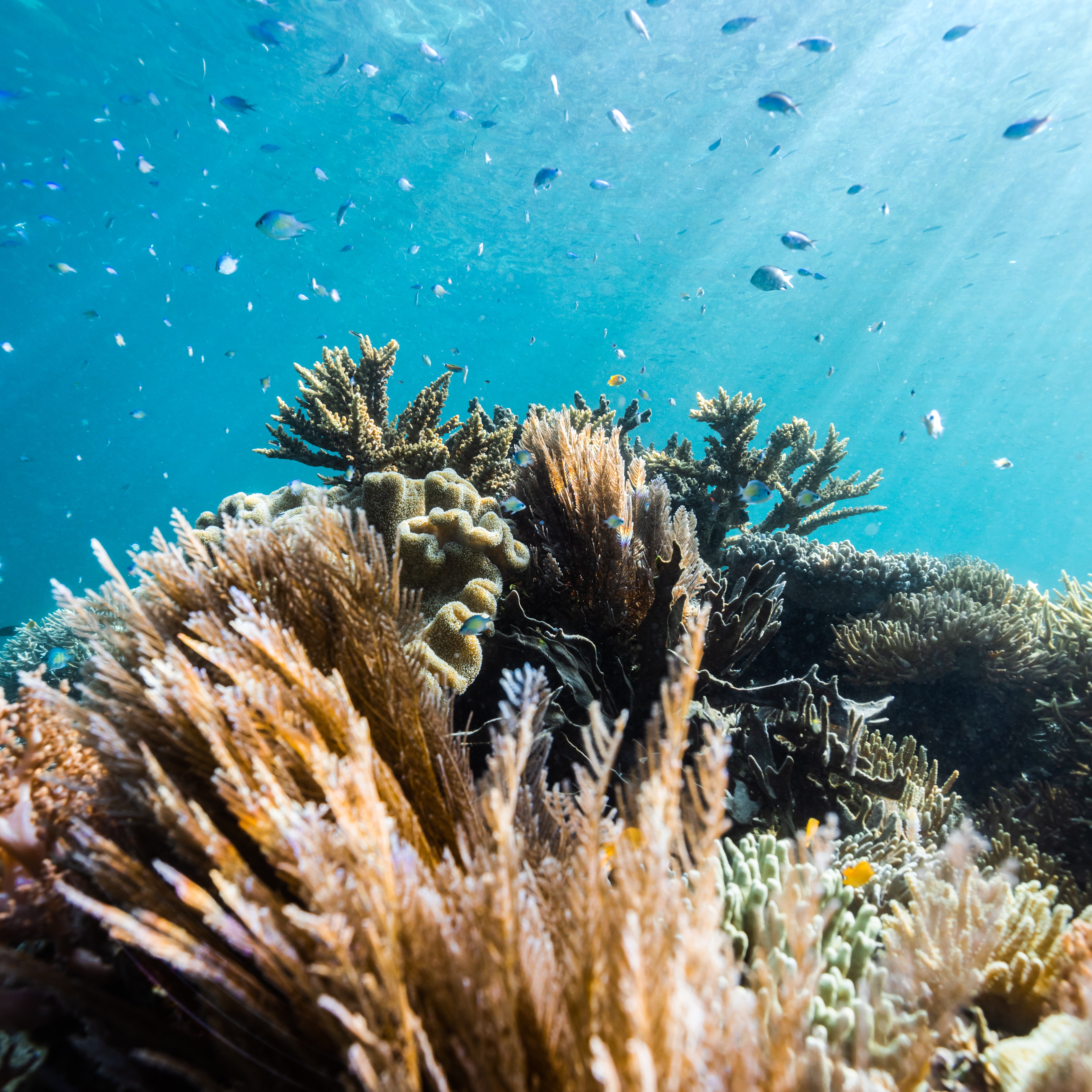 Aquatech Discount Code - EMMA5 thumbnail