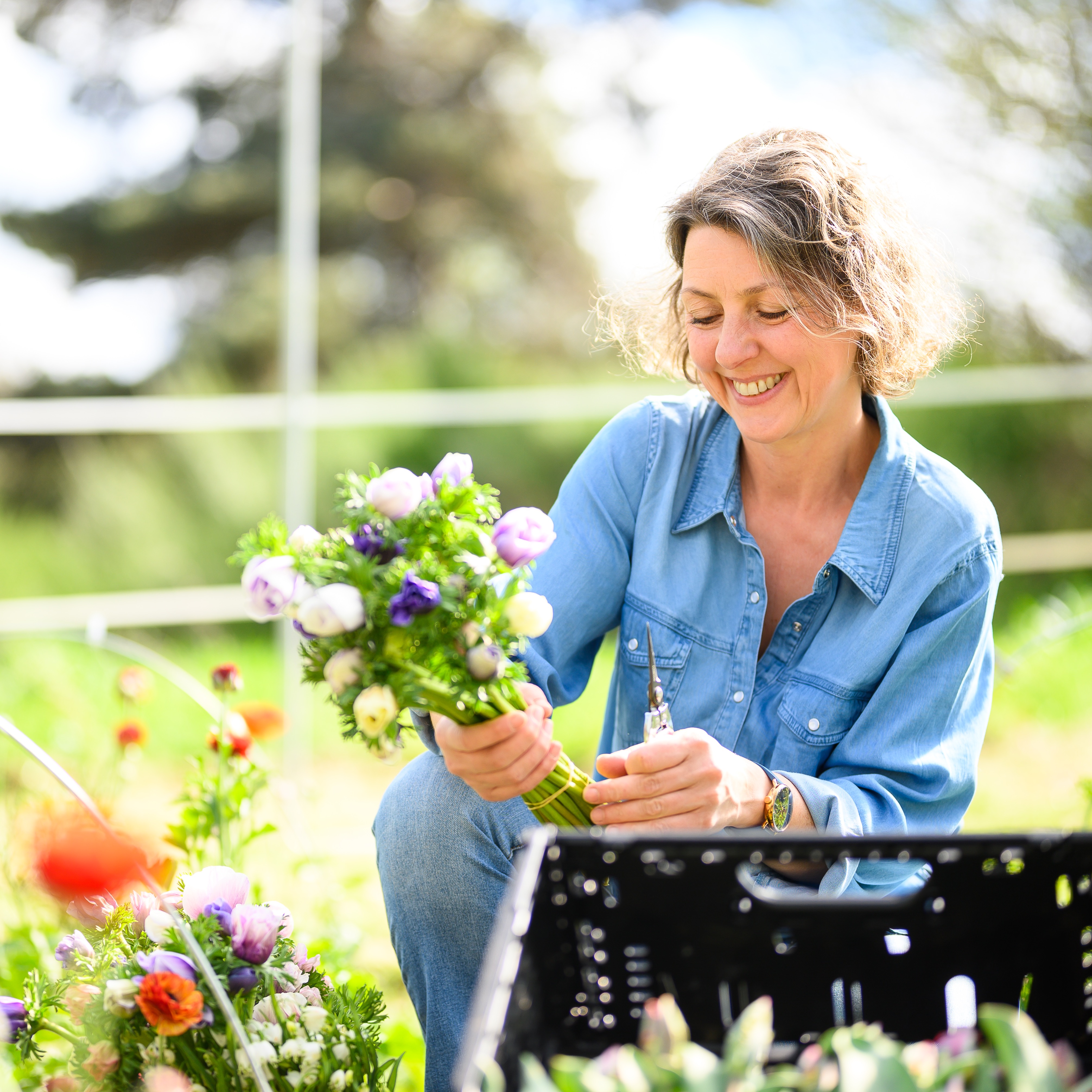 Fleurs fraîches de saison et fleurs séchées dans le Puy-de-Dôme  thumbnail
