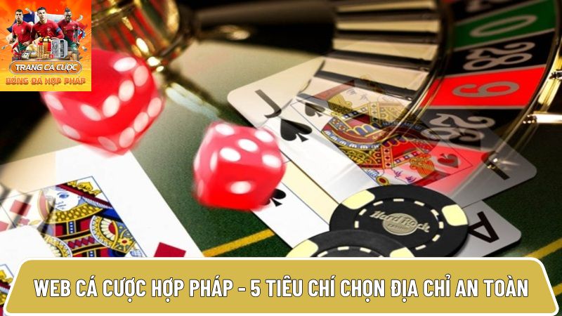 Web cá cược  thumbnail