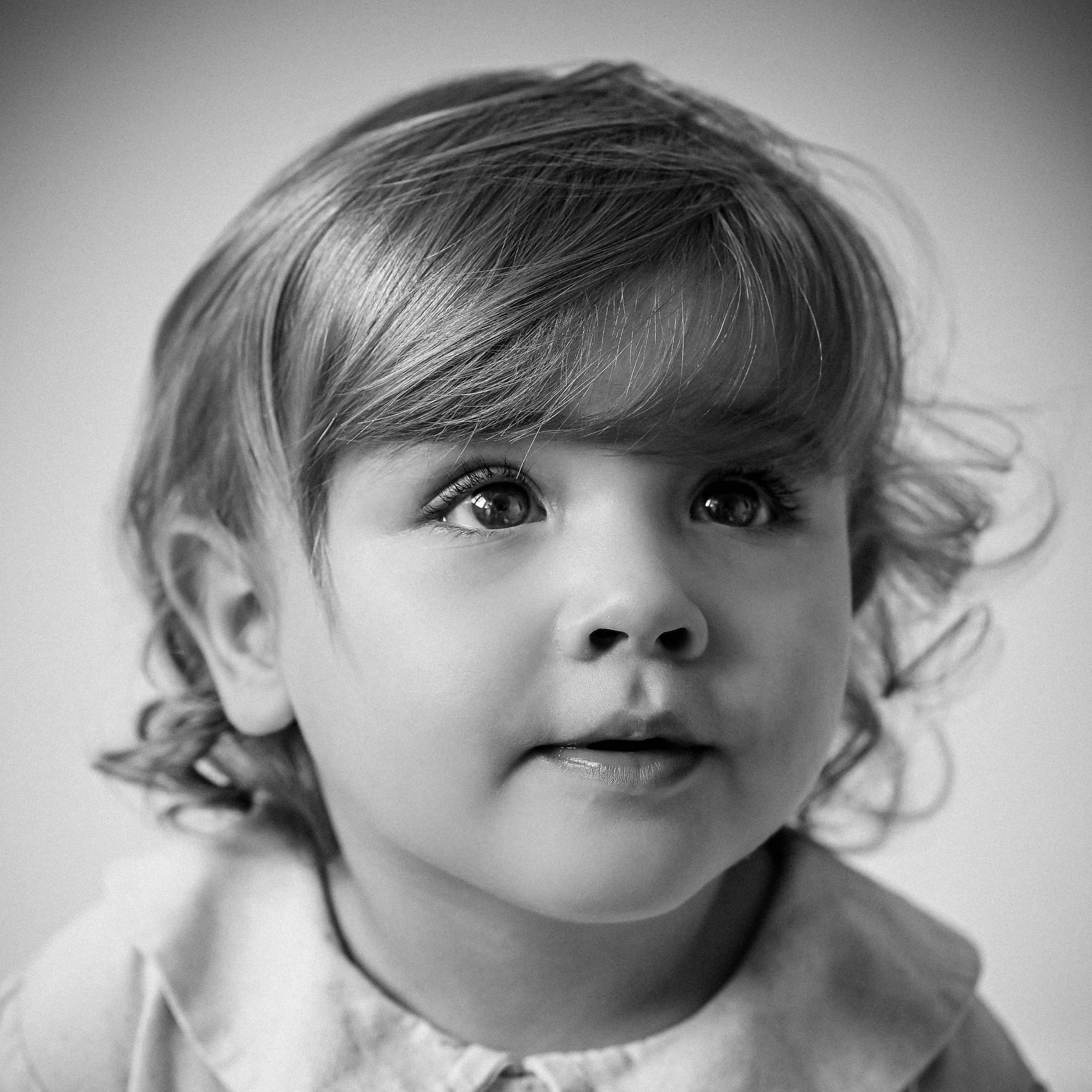 Portrait prestige  thumbnail