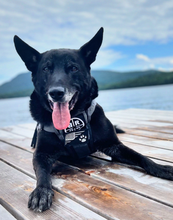 Sponsored K9s thumbnail