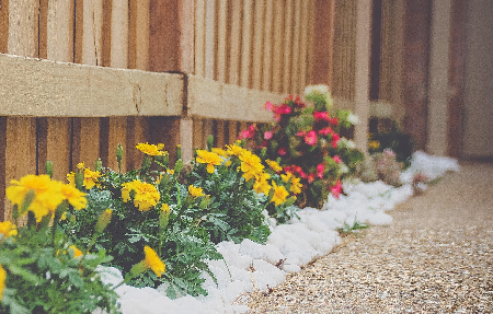 Texas Better Care Fencing & Home Repair | BBB Business Profile | Better Business Bureau thumbnail