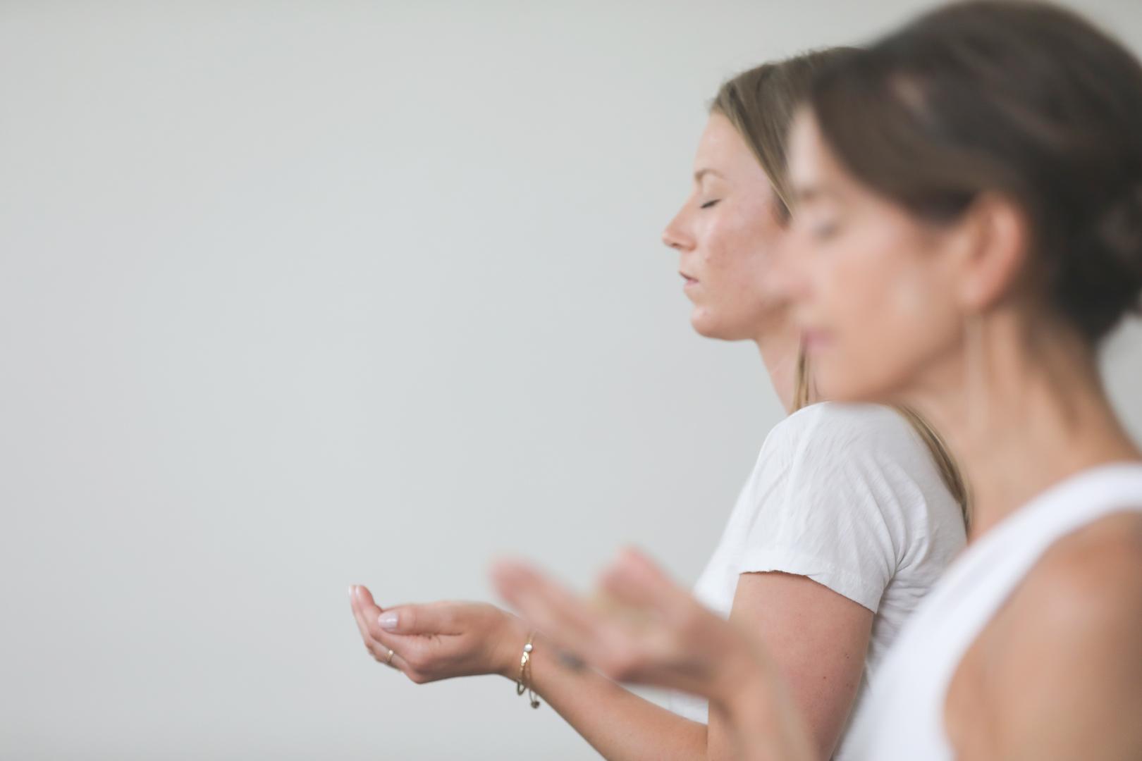 2/19 | Nervous System Glow @ Citrine Larkspur thumbnail