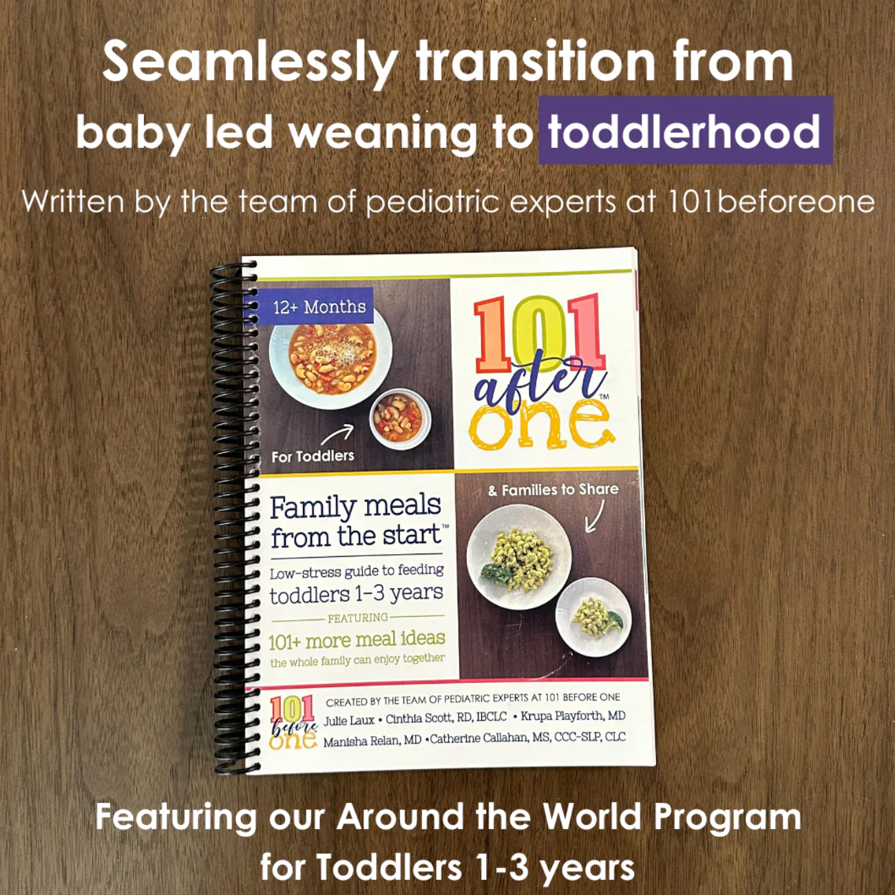 101 after one Feeding Toddlers Printed Cookbook thumbnail