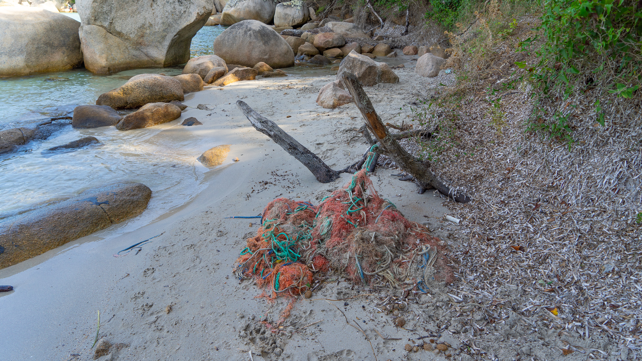 Beach cleanups, freeing sea creatures trapped in ghost nets & scientific documentation thumbnail