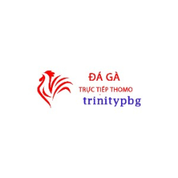 Đá Gà Trực Tiếp Thomo Hôm Nay thumbnail