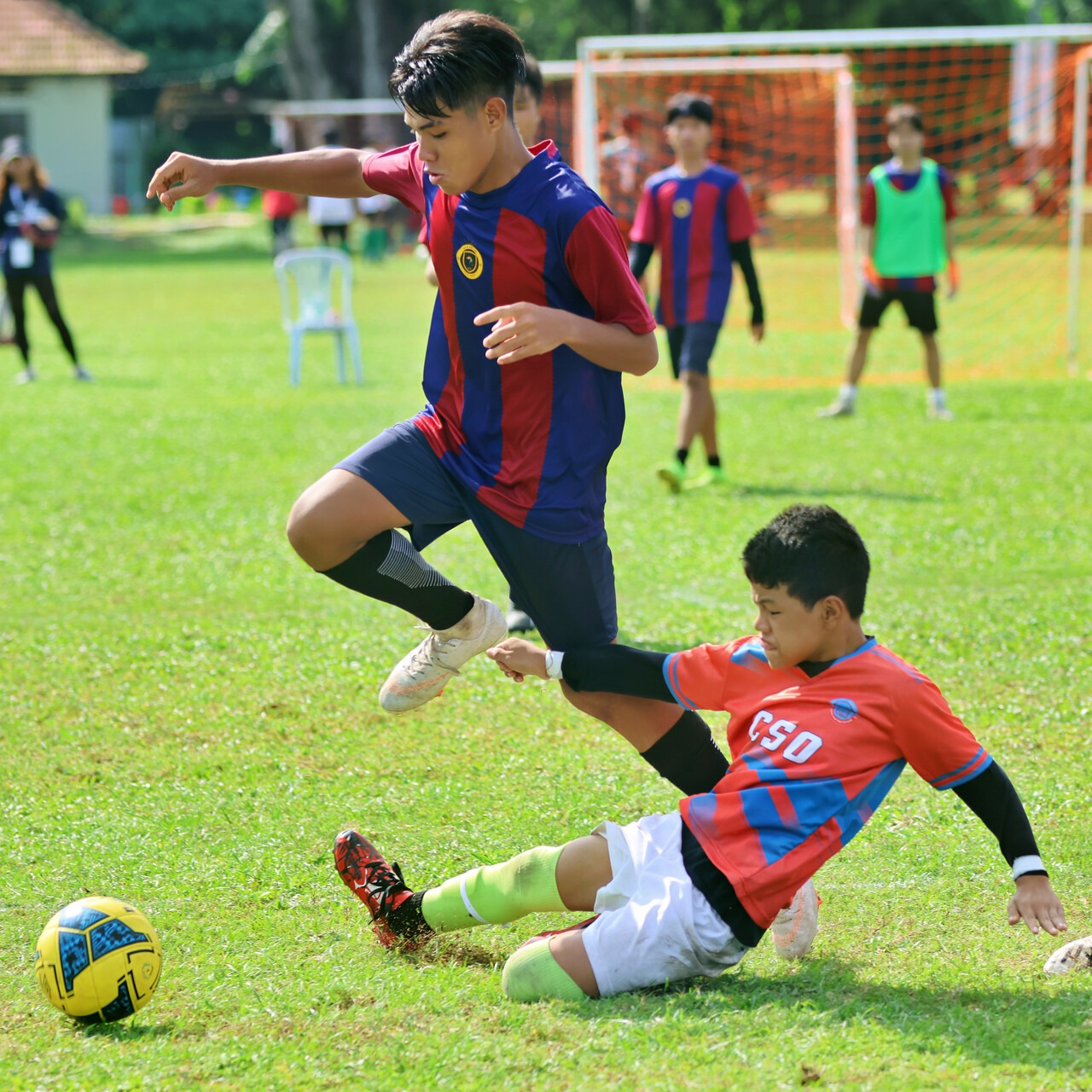 Dignity Cup Infosite & Gallery thumbnail