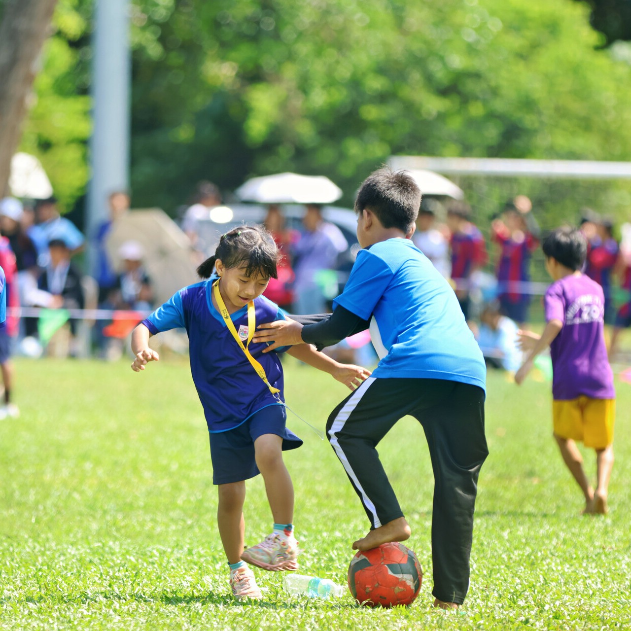 Registration  thumbnail