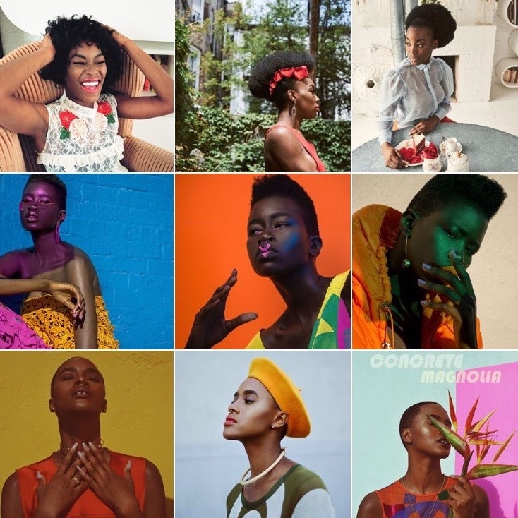 Company Website/Portfolio thumbnail