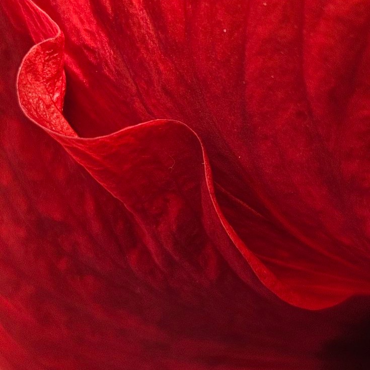 🔴 The Menstrual Phase – The Sacred Pause thumbnail