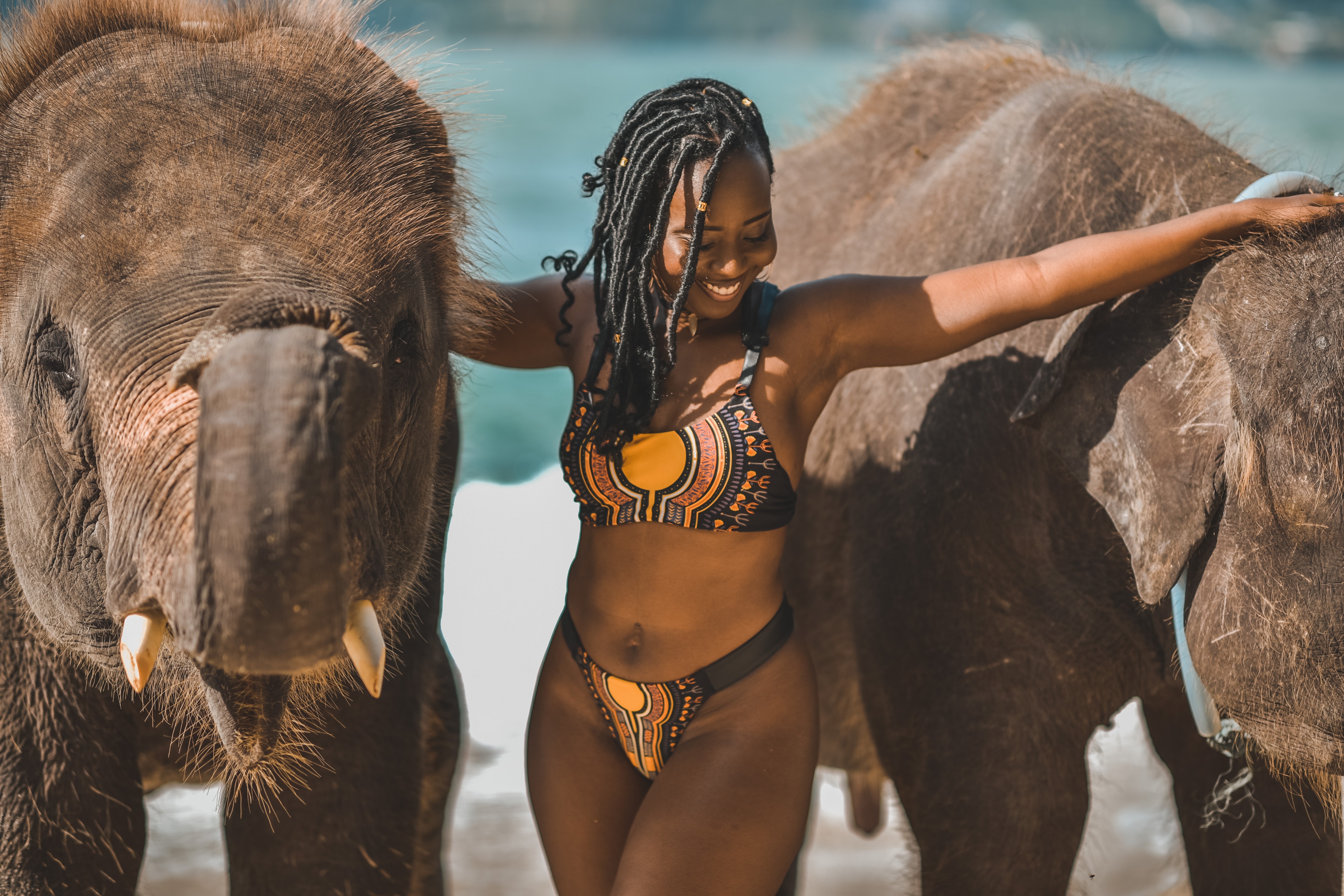 Book My Curated Tours & Excursions Worldwide 🌎 thumbnail