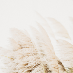 Gratis Selflove E-Mail-Serie thumbnail