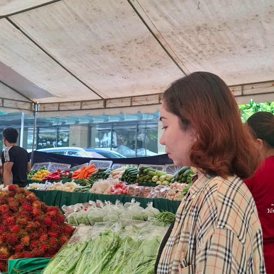 SOLO TRAVEL BITES thumbnail