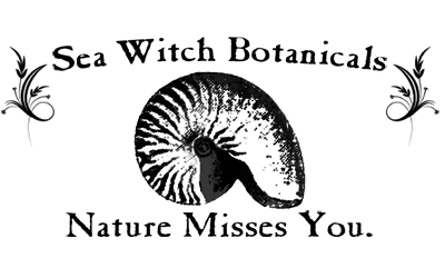 Sea Witch Botanicals ✨affiliate link✨ thumbnail