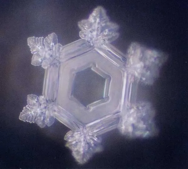 SPORTS DRINK STUDY thumbnail