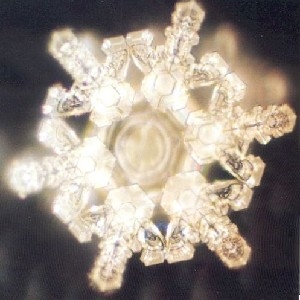 THE WATER EXPERIMENT thumbnail