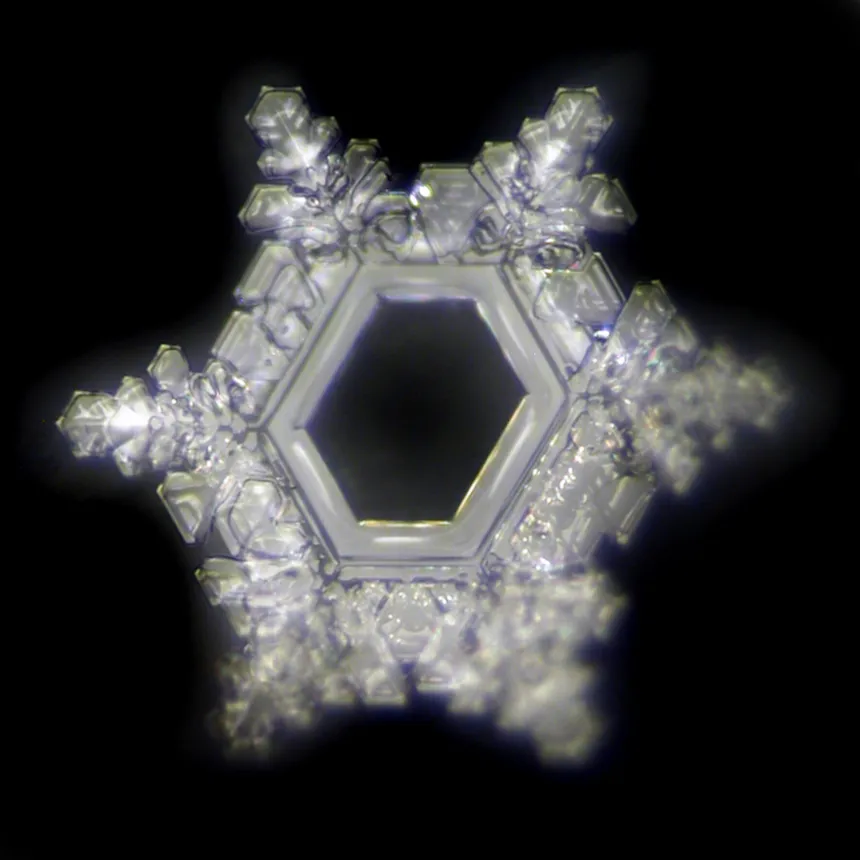 PHI HARMONIC INTEGRATION thumbnail