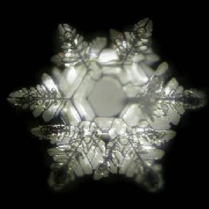 STRUCTURED WATER BIOLOGICAL EFFECTS thumbnail